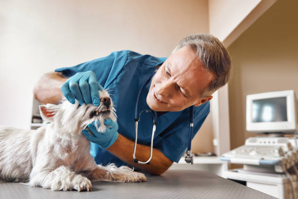Best Emergency Dental Care for Trauma or Injury in Brentwood, TN